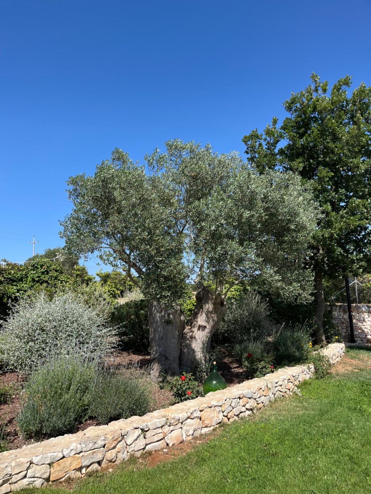 Trulli Don Diego Bed & Breakfast Noci Luaran gambar