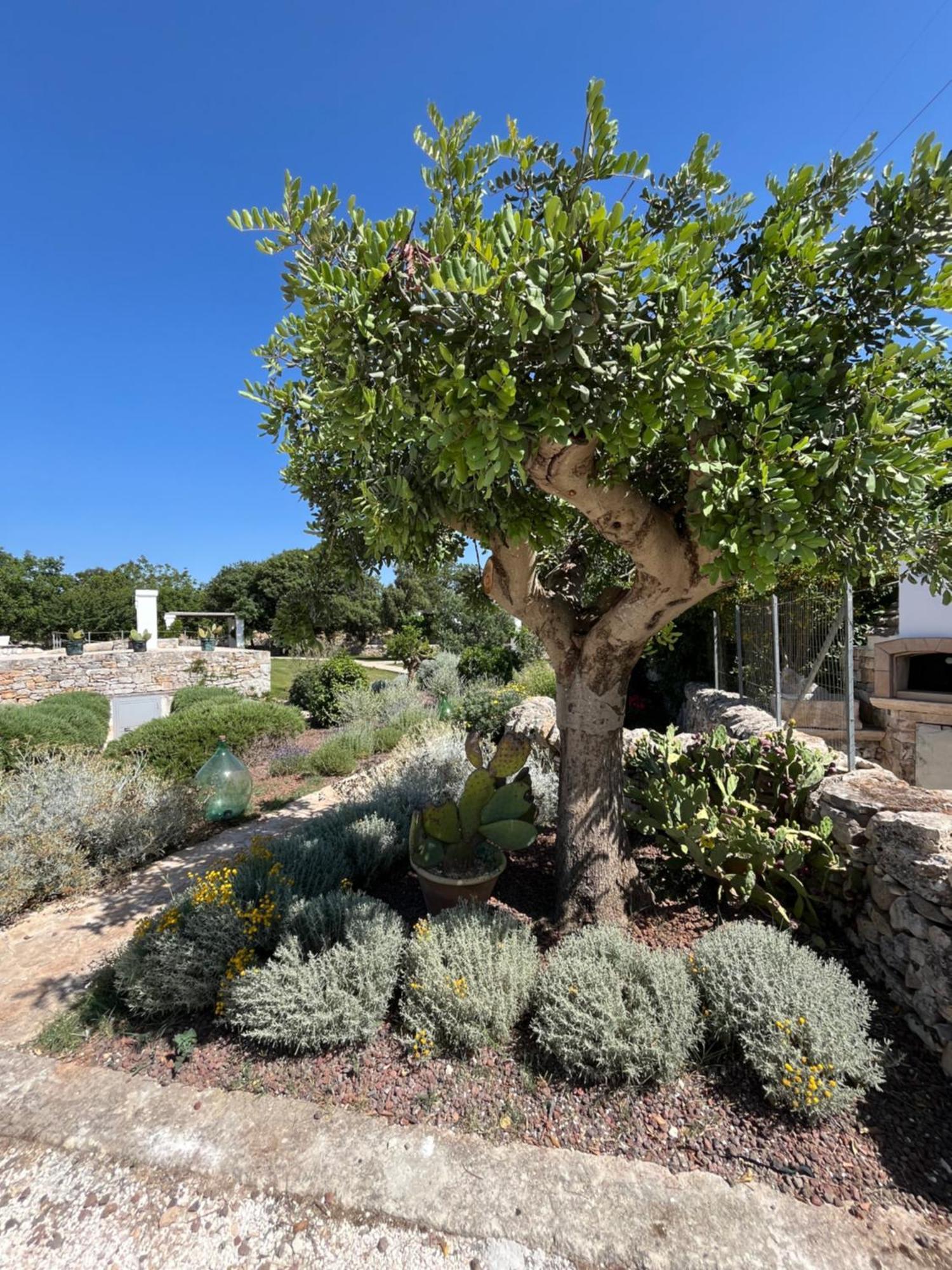 Trulli Don Diego Bed & Breakfast Noci Luaran gambar