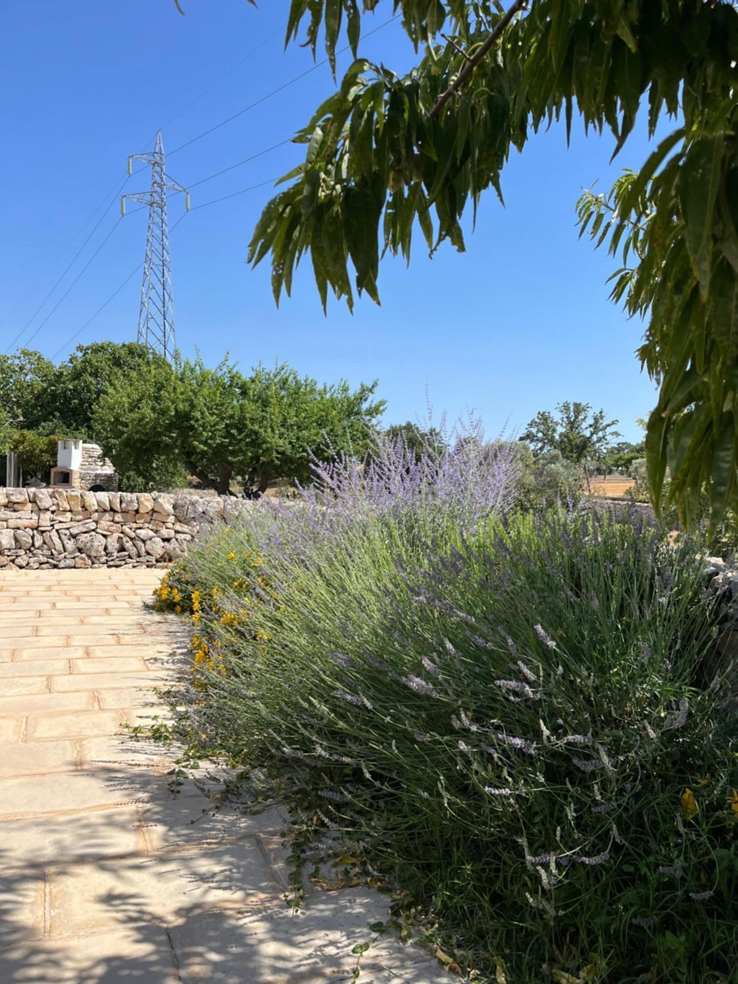 Trulli Don Diego Bed & Breakfast Noci Luaran gambar